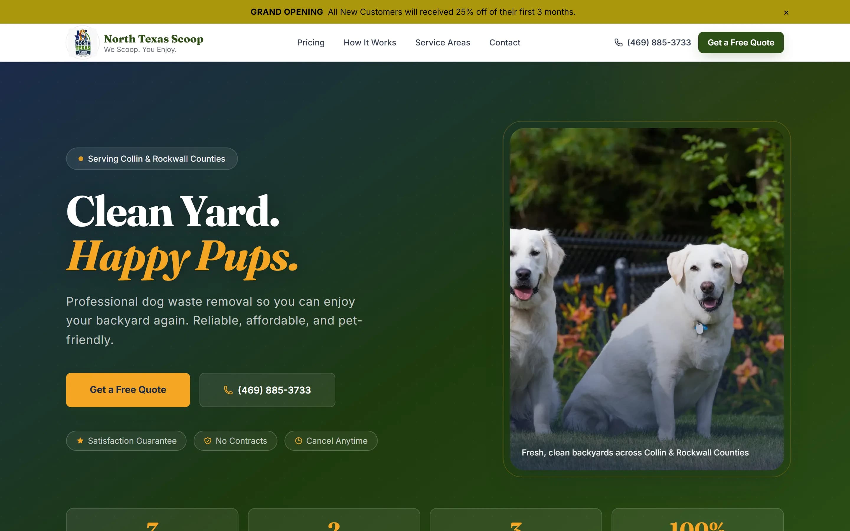 Screenshot of the North Texas Scoop website